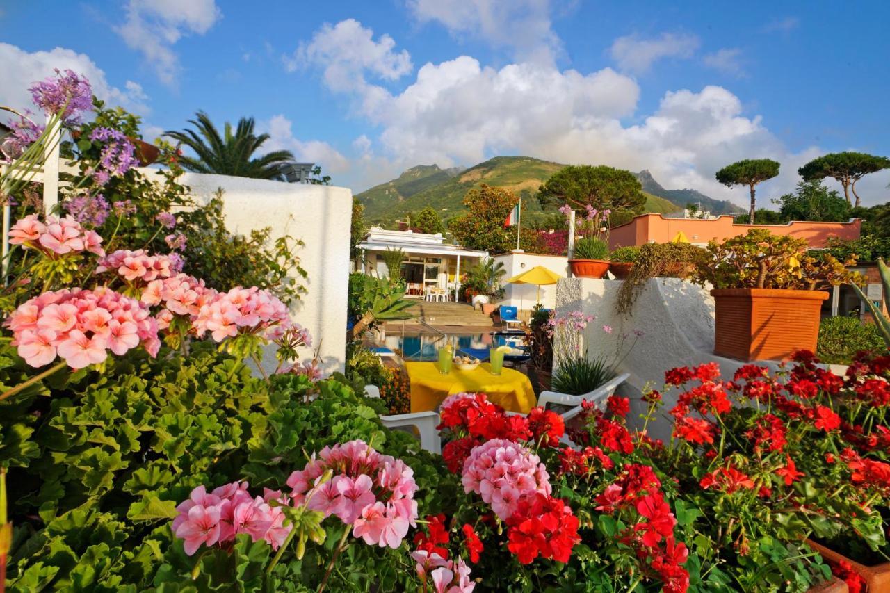 Hotel Villa Mena Forio di Ischia Exteriér fotografie